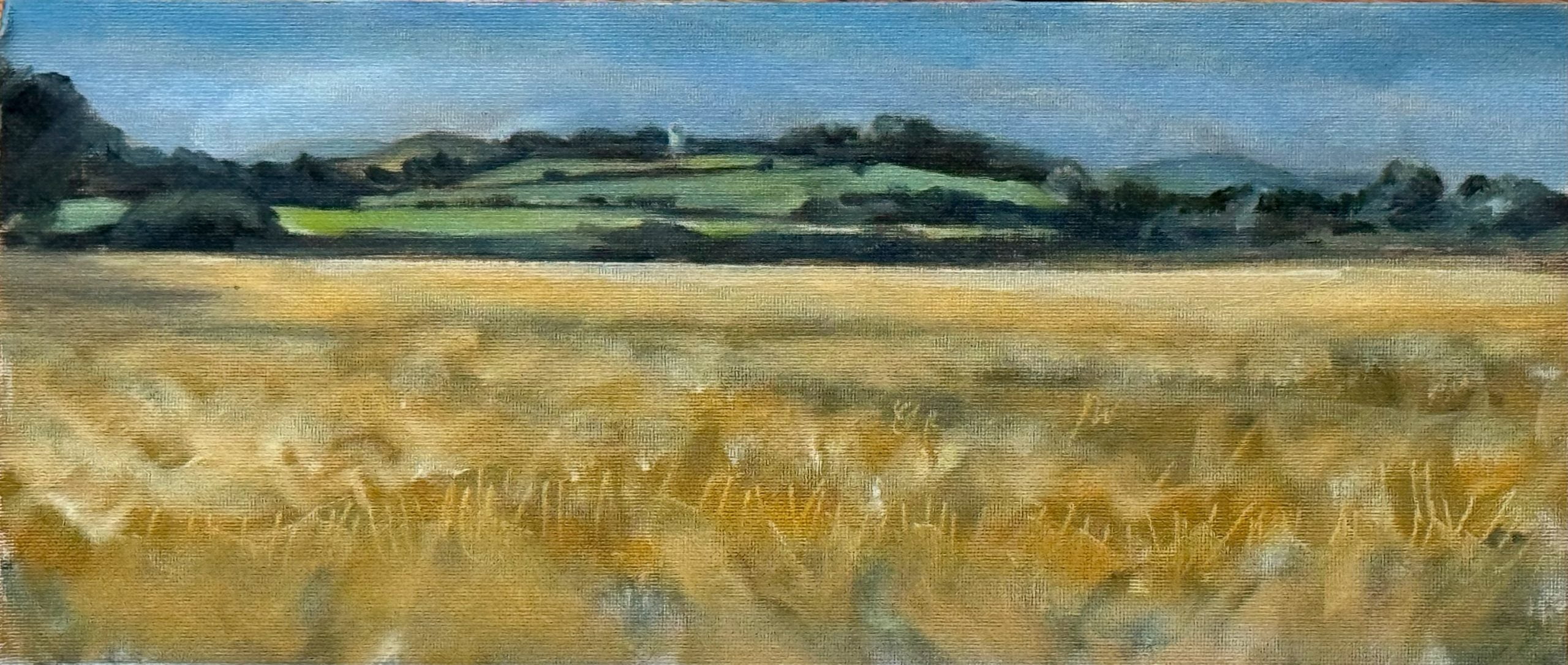 West along the South Downs painting by John Farmelo