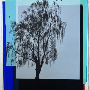Winter 2018 screenprint by John Farmelo